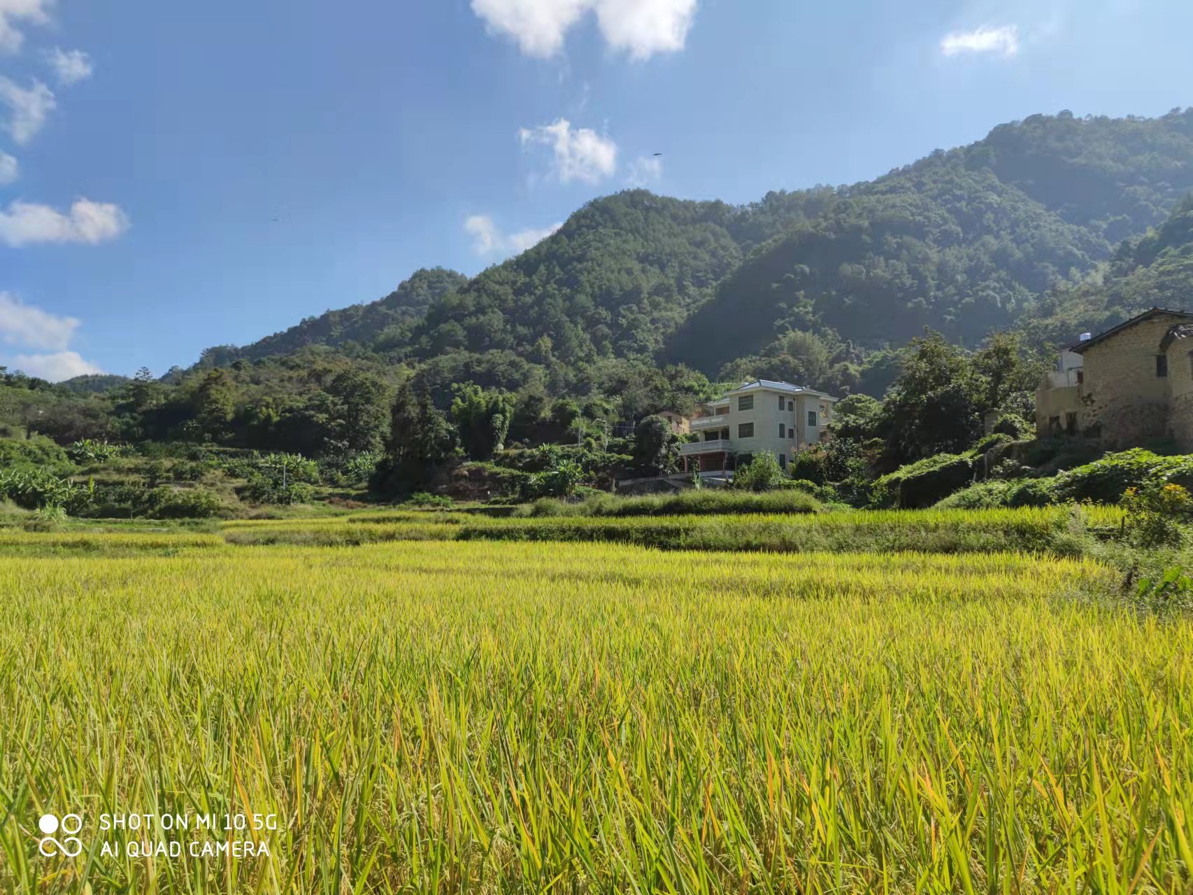 恢复（增补）耕地项目怎么干？？？？？？千亿国际有话说