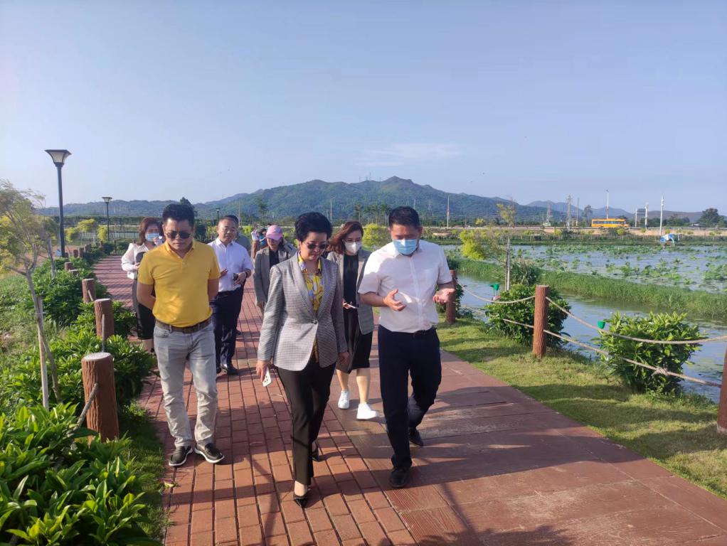省生态修复协会轮值会长单位千亿国际集团带队赴汕尾全域土地整治军民融合试点项目调研