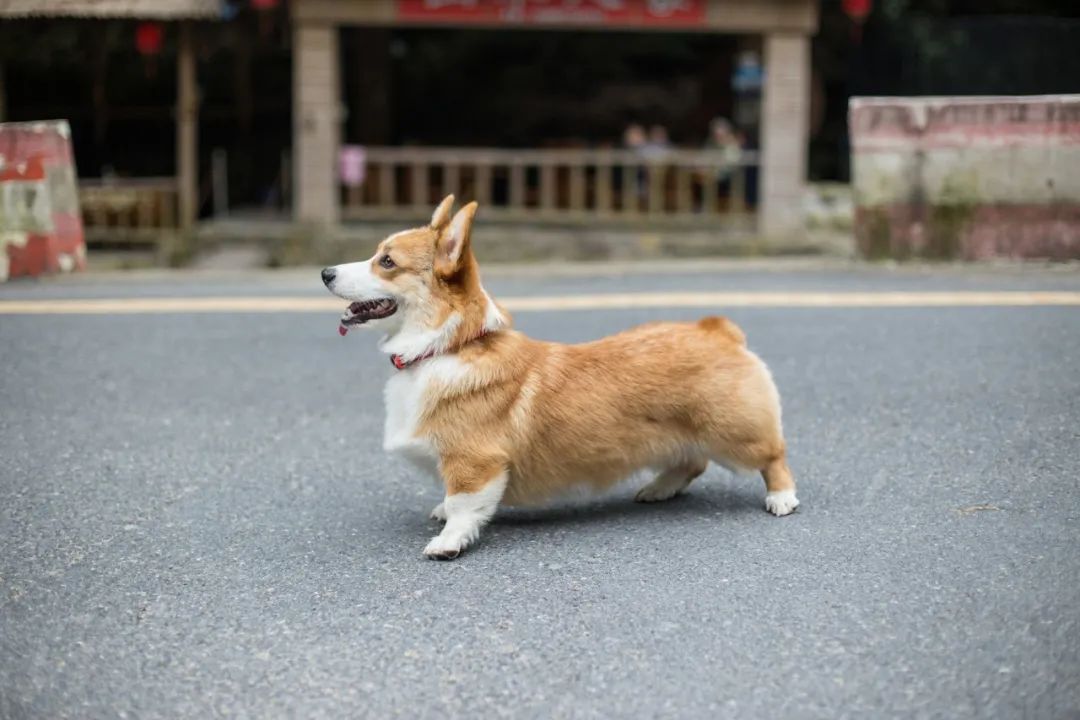 再见，，，，，，，我的老朋侪
