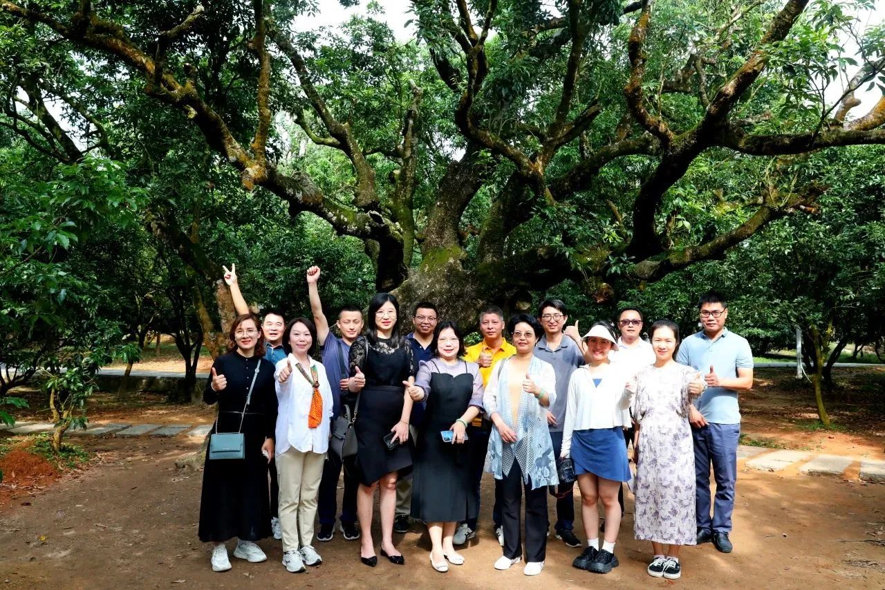 千亿国际集团作为省领土空间生态修复协会轮值会长带队调研粤西全域土地综合整治事情