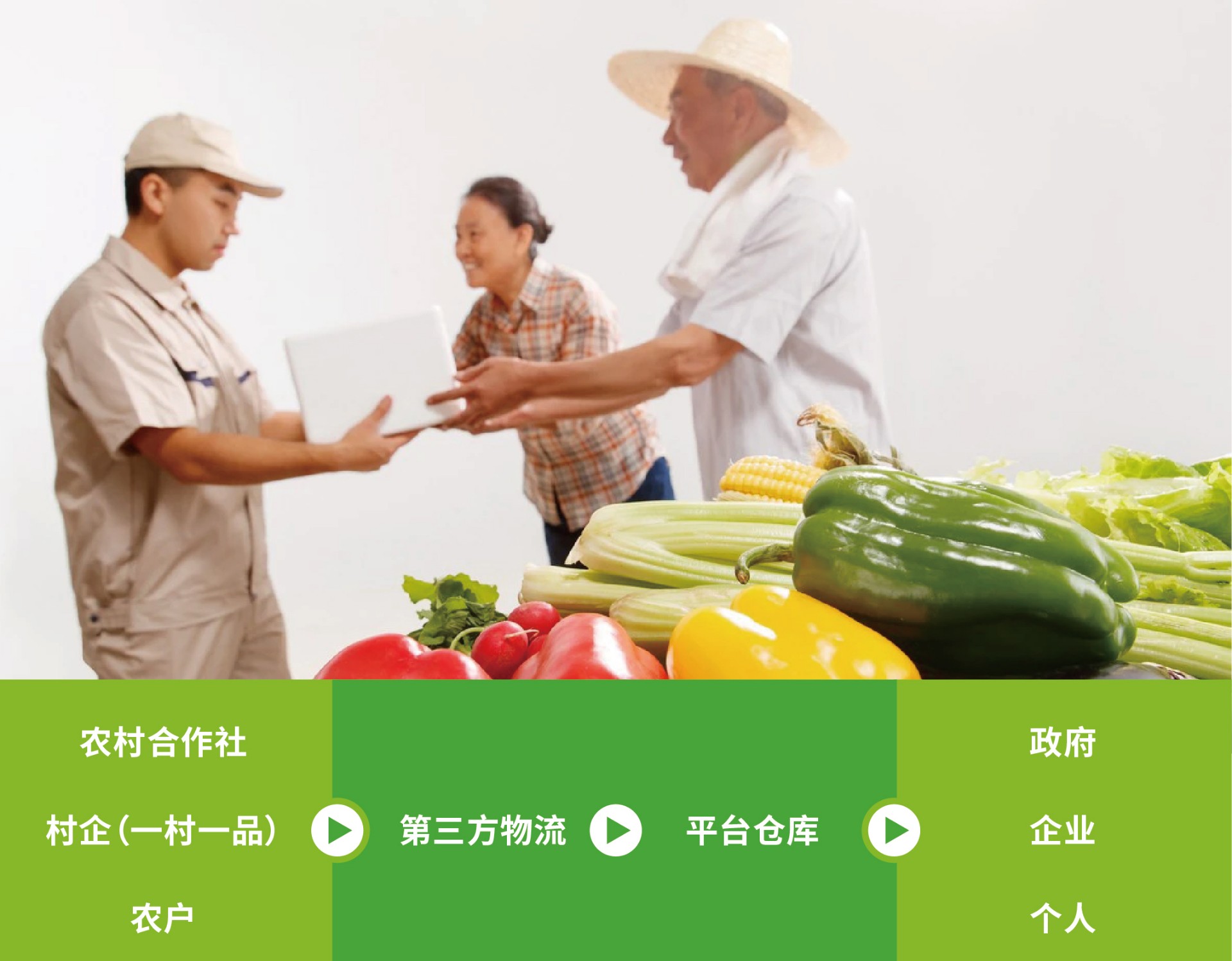 广粮图文先容5.jpg
