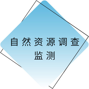 自然资源视察监测.jpg